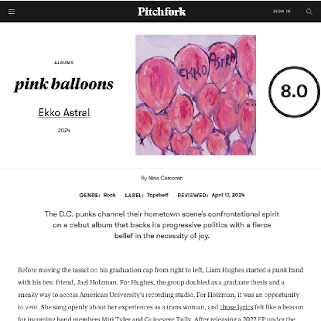 a screenshot of an article from Pitchfork